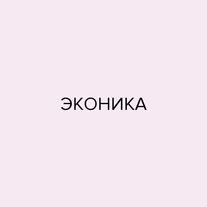 ЭКОНИКА