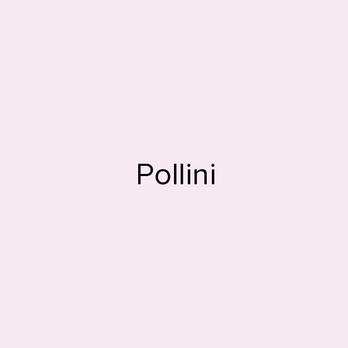 Pollini