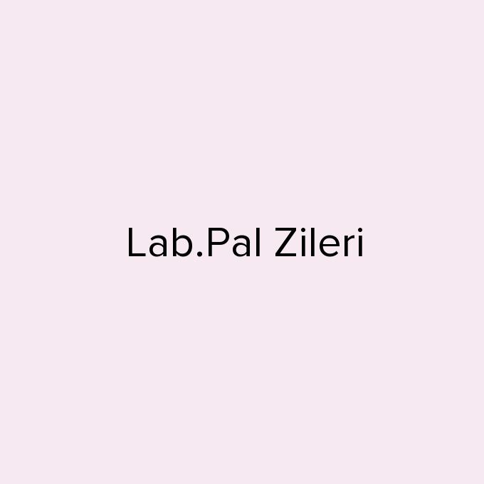 Lab.Pal Zileri