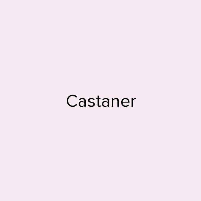 Castaner