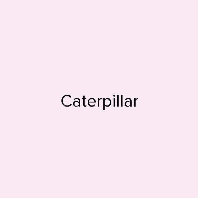 Caterpillar
