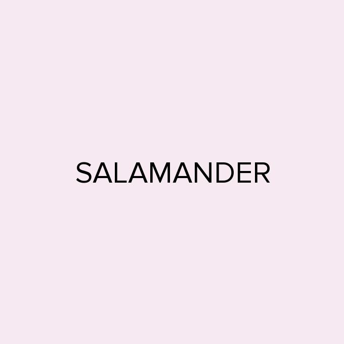 SALAMANDER