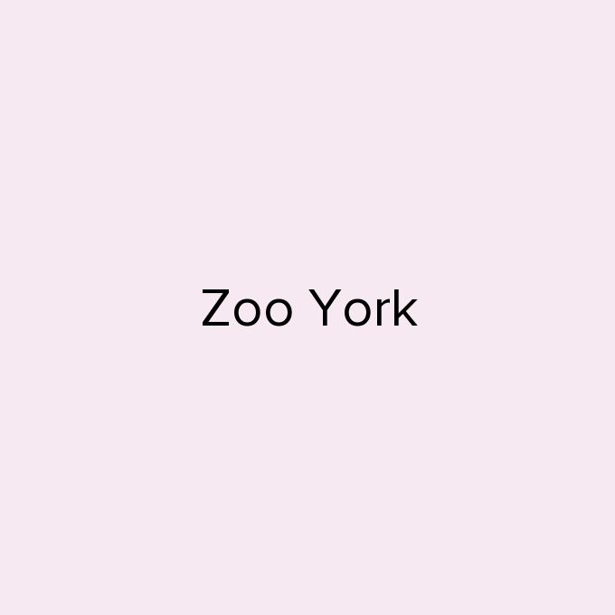 Zoo York
