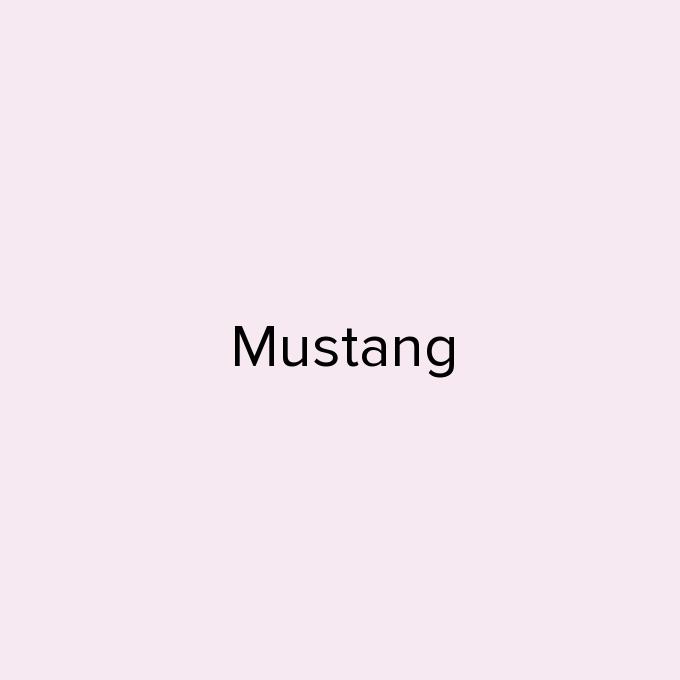 Mustang